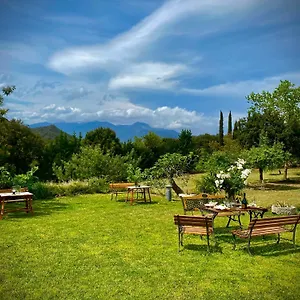  Appartement Masia Mimosa Spanje